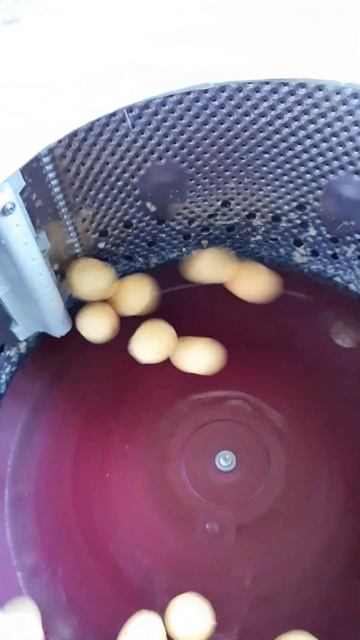 Аппарат для чистки сырого картофеля