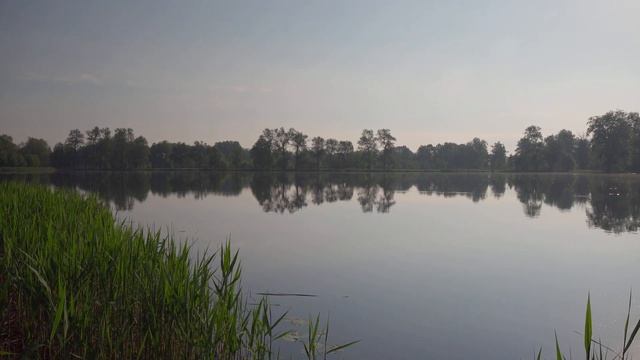 Ловля щуки на живца в конце мая смотреть онлайн