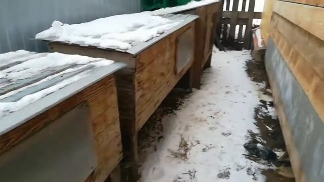 Кролики в хозяйстве/Котик на снегу/Броши ручной работы смотреть онлайн