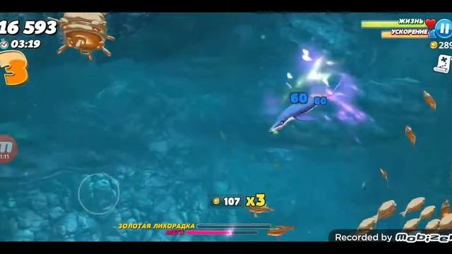 Hungri shark/играю в злую акулу/прохождение🔥👍💣😱 смотреть онлайн