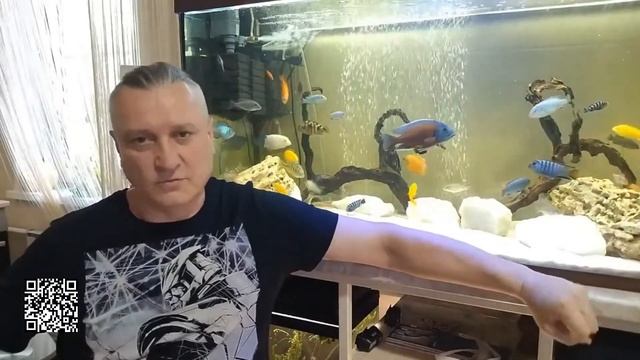 О Данио! смотреть онлайн
