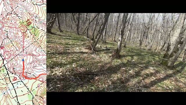 Just Hope • Headcam orienteering • Пастухова 2024, 4 день • С комментариями! смотреть онлайн