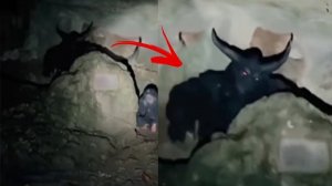 Демоны, Страшные видео и Страшилки