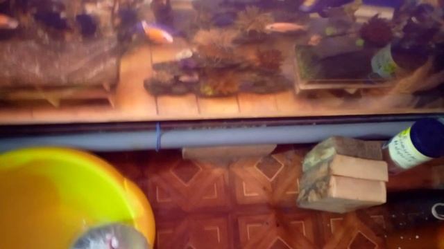 В Казань и Чебоксары на одном поезде добрались 5 апреля. смотреть онлайн