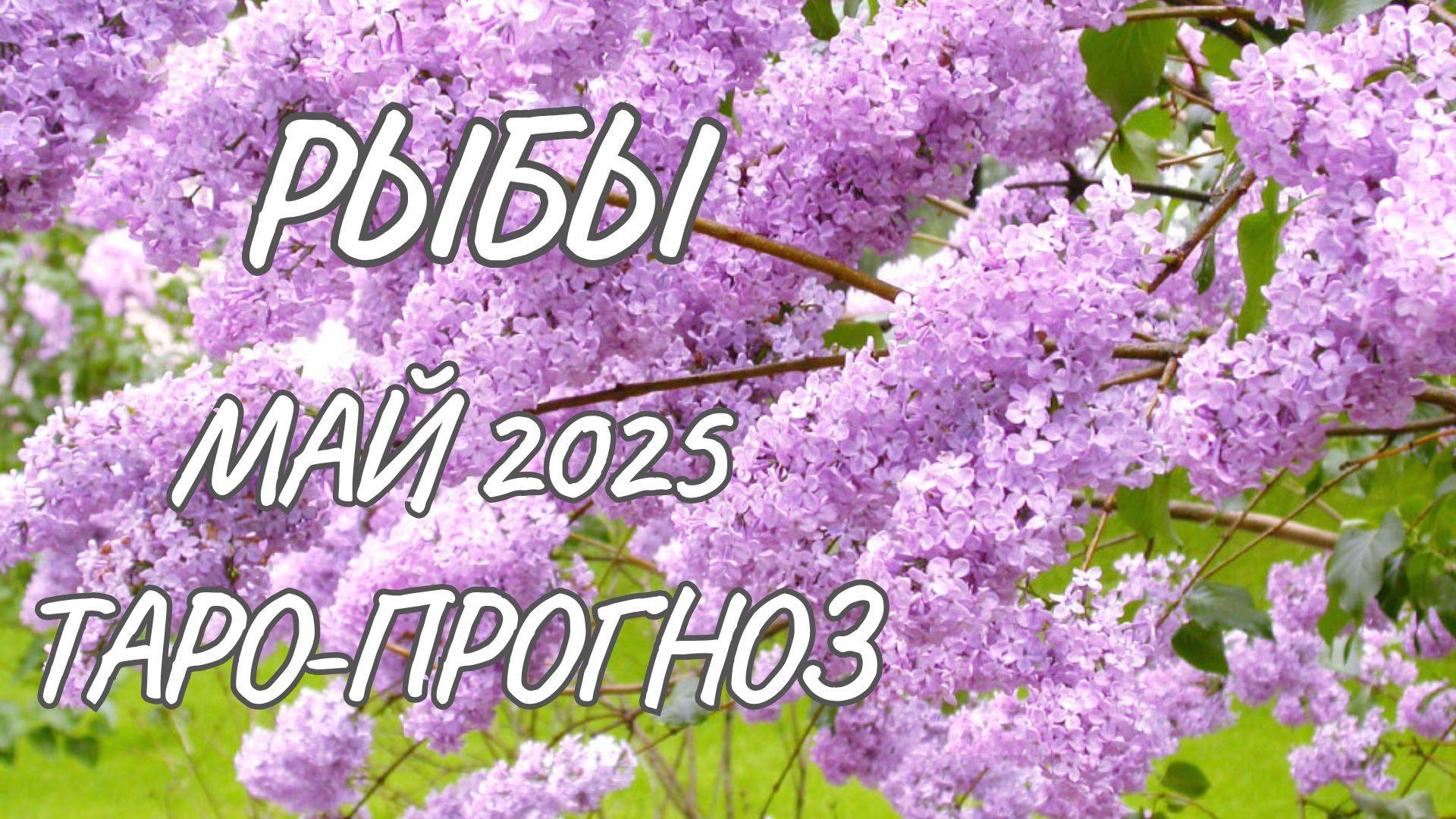 Рыбы ♓ Таро-прогноз на май 2025 года смотреть онлайн