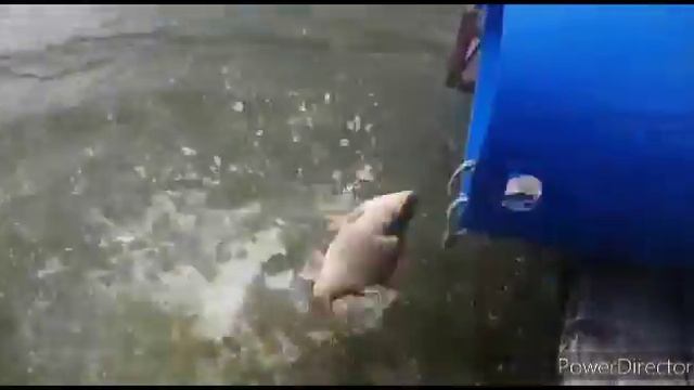 15 июля 2022 г.