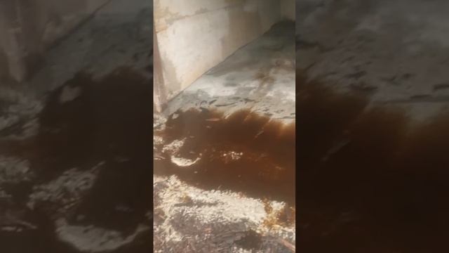 залили бетонный пол. смотреть онлайн