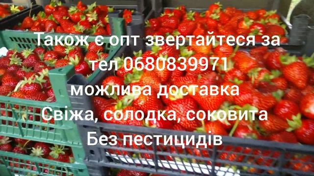 Первый сбор Клубника 🍓 смотреть онлайн