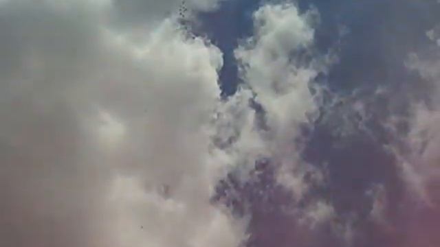 CIMG0004 Голуби Ляпина Николая. смотреть онлайн