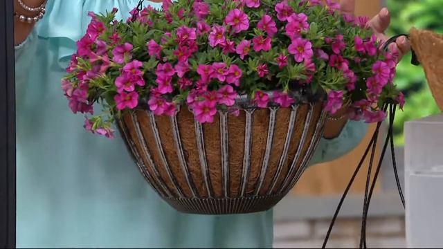 S/2 Ultimate Innovations AquaSav Urn & Hanging Basket Set on QVC смотреть онлайн