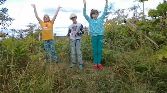 Песня про борщевик смотреть онлайн