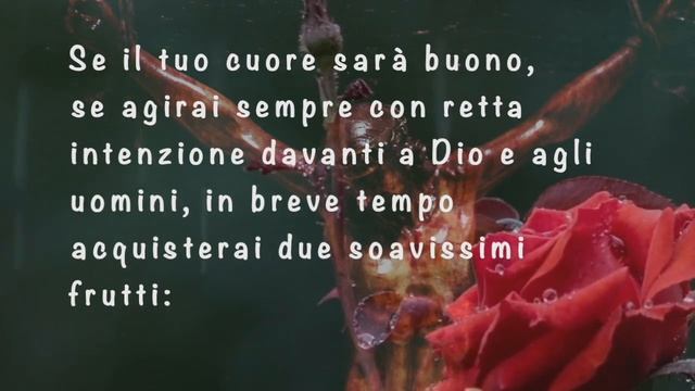 Ricava e vedi il lato buono in tutto ciò che odi e vedi - Santa Camilla Battista - смотреть онлайн