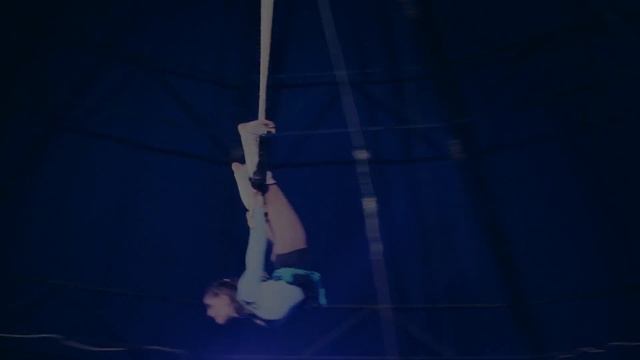 Программа нашего цирка смотреть онлайн