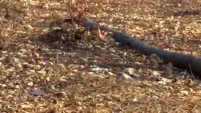 Минный городок ч 3 смотреть онлайн