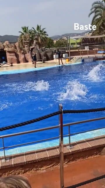 Sebastian смотреть онлайн