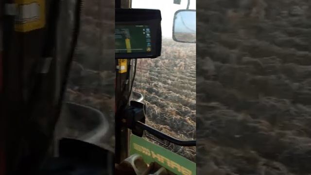 уборка картофеля в ноябре смотреть онлайн