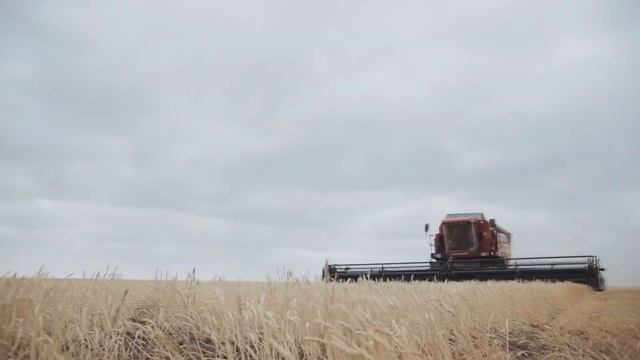 Агро-Техник Барнаул смотреть онлайн