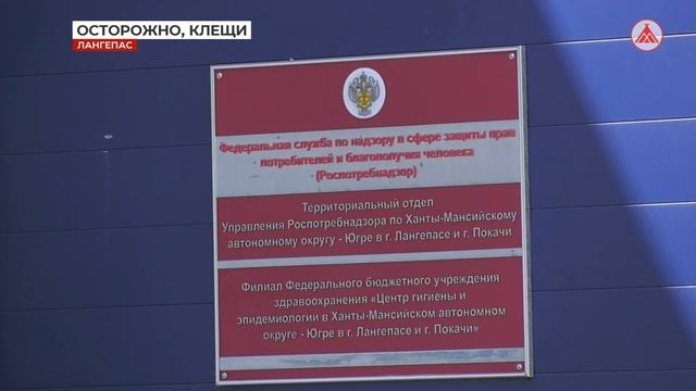 Что с клещами? Число укусов снижается? 11-07-2023 смотреть онлайн