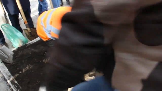 Липовая аллея от общественников в Саратове смотреть онлайн