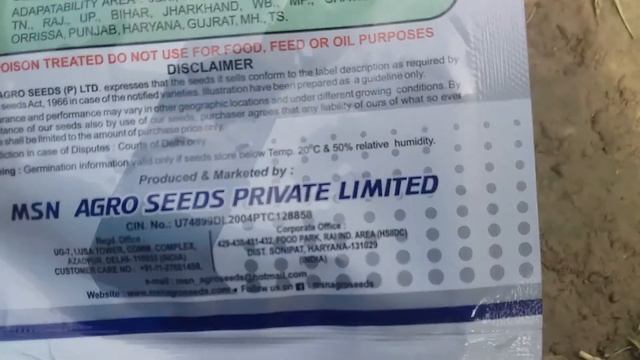 जुलाई महीने में कौन सी गोभी की नर्सरी डाले, बेस्ट नर्सरी जुलाई में, बरसात नर्सरी कैसे तैयार करें смотреть онлайн