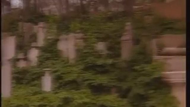 Cemal Kuru - Yalan Dünya смотреть онлайн