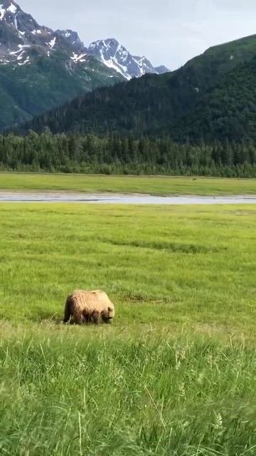 #Shorts#A life смотреть онлайн