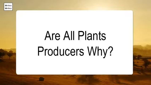 Are All Plants Producers Why смотреть онлайн