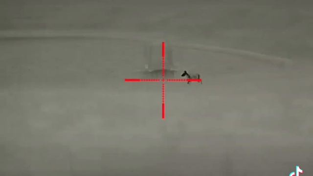 Thermal Predator Hunting | Multiple Coyotes down with the Iray Bolt TL35 смотреть онлайн