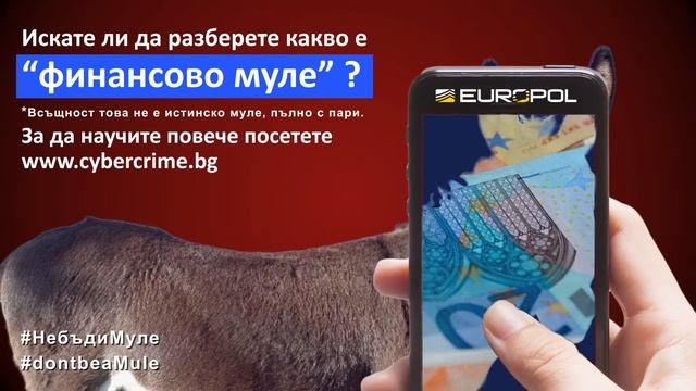 Муле, но финансово! смотреть онлайн