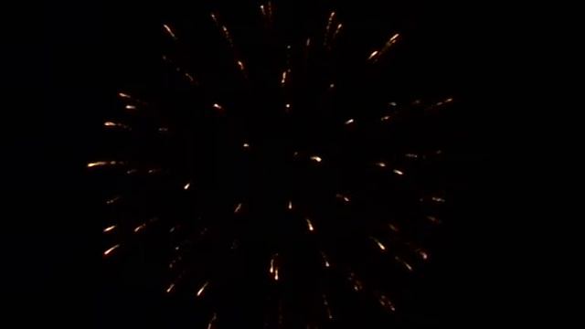 3 Flower wave w blue pistil смотреть онлайн