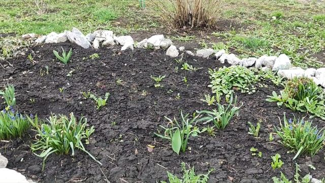 Домашние хлопоты... смотреть онлайн