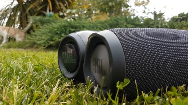 Jbl charge 3 & Pulse 3 Bass test! 100% vol! [Connect+] (+cat) fluffs song! смотреть онлайн
