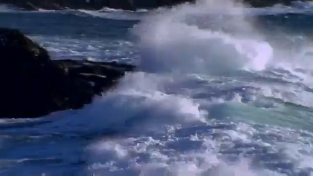 Алексей Пелих Птица Премьера Клипа 2018 смотреть онлайн