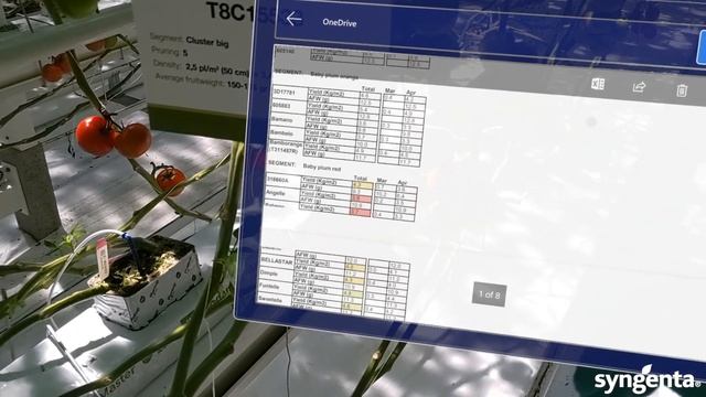 Tomato Vision: VR поглед в новият демонстрационен център смотреть онлайн