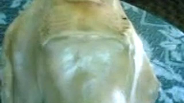 русалка аракс гетиц смотреть онлайн