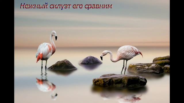 Flamingo (style - new impressionism). смотреть онлайн