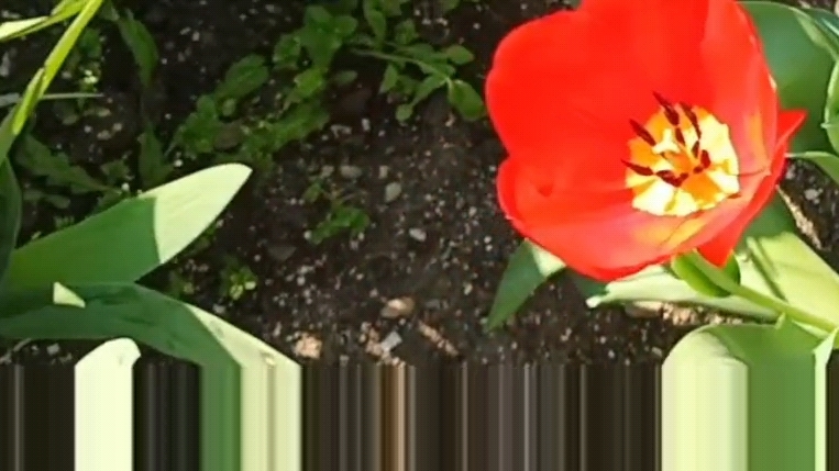 Ейск ! ЛФК - можно без назначения врача ? Отдых в нашем городе и многое другое! Архивное видео ! смотреть онлайн