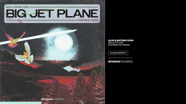 Alok, Mathieu Koss, Pharmacist - Big Jet Plane (Pharmacist Remix) смотреть онлайн
