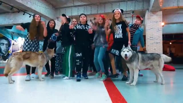 Хаски бандит клип на 500.000 пол - лимона смотреть онлайн