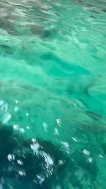 Крым Оленёвка море отпуск активный отдых плывём на вёслах каяк отдых жизнь в кайф чудеса природы смотреть онлайн