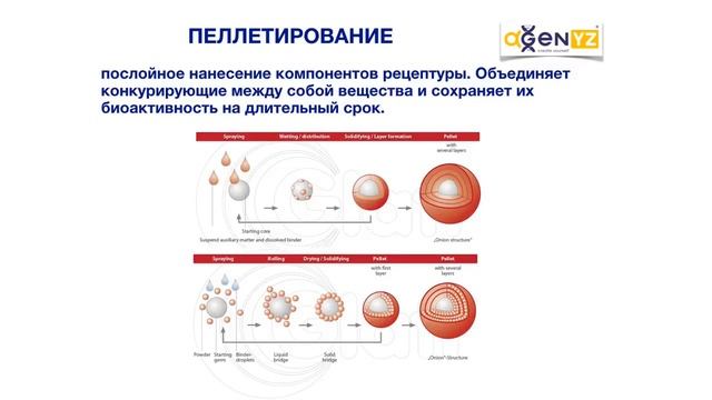 Технология производства продуктов Биохакинга AgenYZ смотреть онлайн