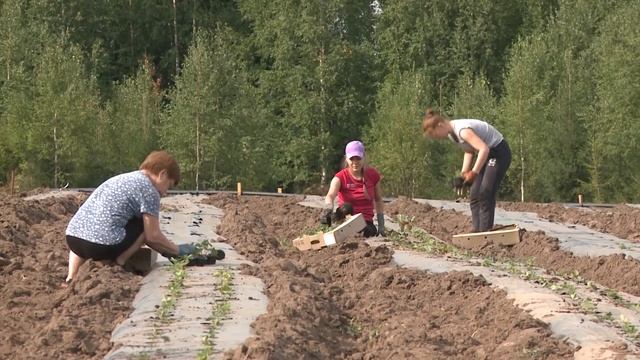 Агростартап 27.08.2021 смотреть онлайн