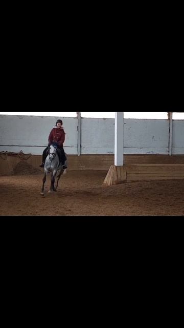 #шарапово #horse #equestrian смотреть онлайн