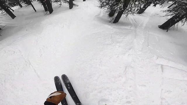 The People's Ski Test - Dynastar E-Pro 99 смотреть онлайн