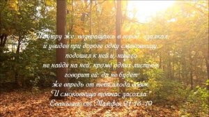 Песня "Одна листва"