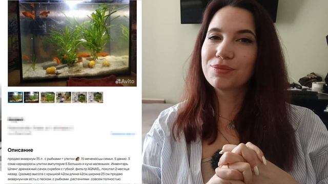 Не покупай аквариум на Авито пока не посмотришь это видео...