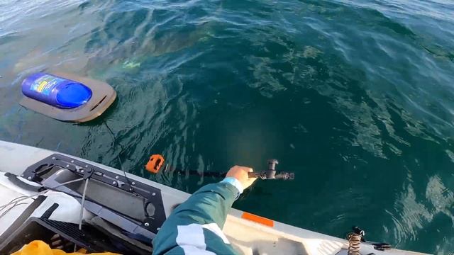 POV: GREAT WHITE SHARK CIRCLES YOUR KAYAK смотреть онлайн