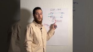 Глютатион — сопровождающий Б12