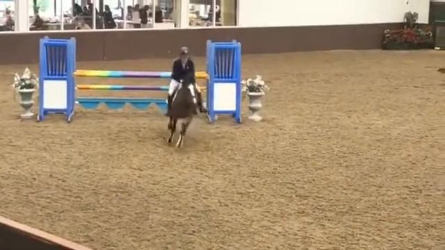Thelma’s gift & Eloise Squibb winning 138cm Grand Prix addington смотреть онлайн