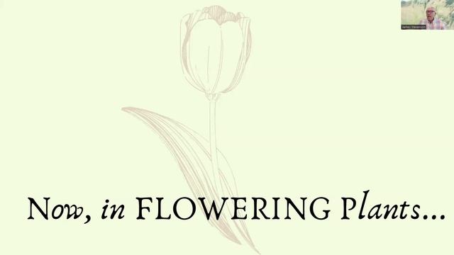 The Answer My Friend – Wind Pollination: How and Why? смотреть онлайн